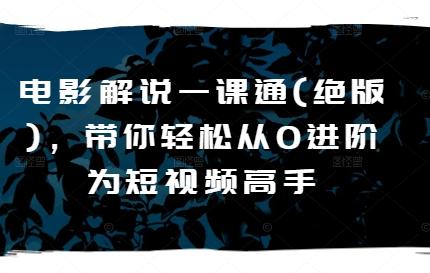 电影解说一课通(绝版)，带你轻松从0进阶为短视频高手-梦凌网创