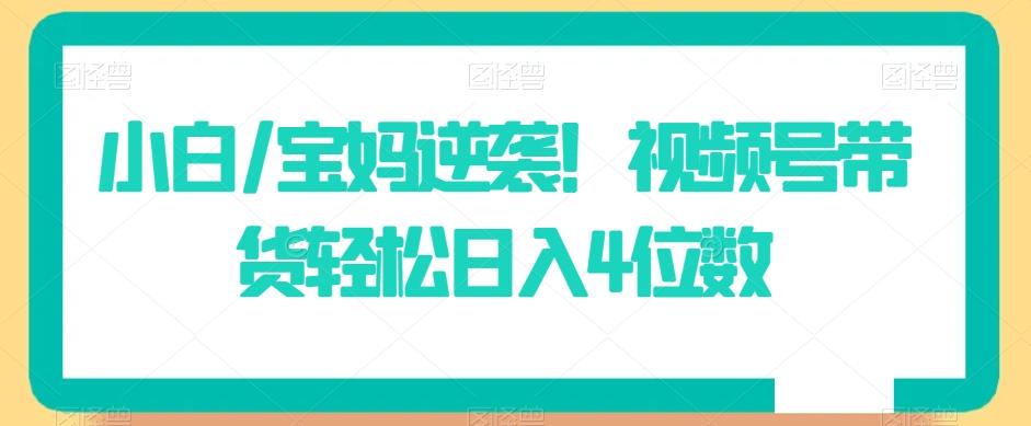 小白/宝妈逆袭！视频号带货轻松日入4位数【揭秘】-梦凌网创