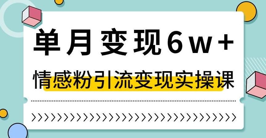 单月变现6W+，抖音情感粉引流变现实操课，小白可做，轻松上手，独家赛道【揭秘】-梦凌网创