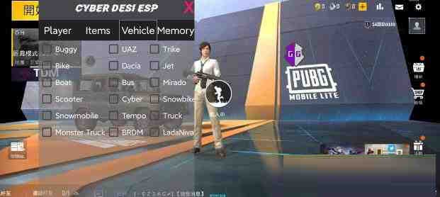 PUBG轻量老外裸奔绘制+自瞄 支持ROOT和框架 里面有全局离线-梦凌网创