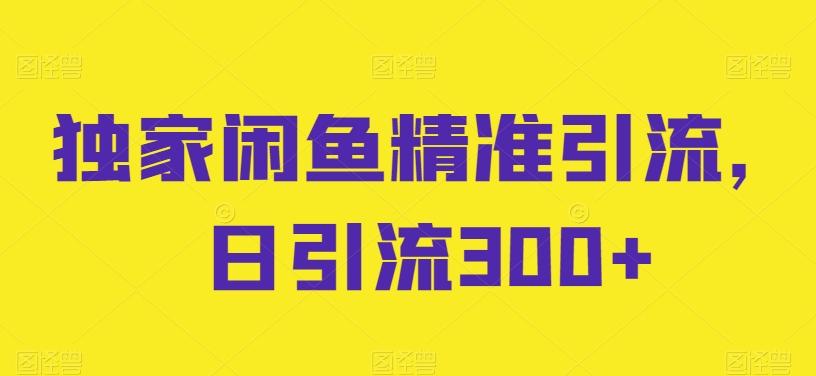 独家闲鱼精准引流，日引流300+【揭秘】-梦凌网创