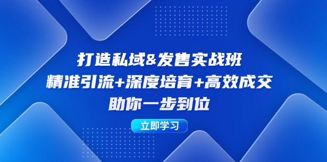 打造私域&发售实操班：精准引流+深度培育+高效成交，助你一步到位-梦凌网创