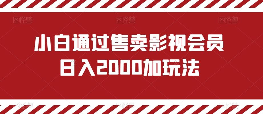小白通过售卖影视会员日入2000加玩法-梦凌网创