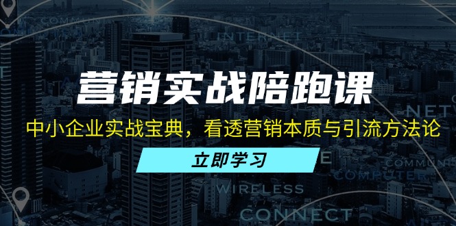 营销实战陪跑课：中小企业实战宝典，看透营销本质与引流方法论-梦凌网创