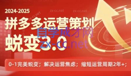 大力老师·2024拼多多运营策略蜕变3.0-梦凌网创