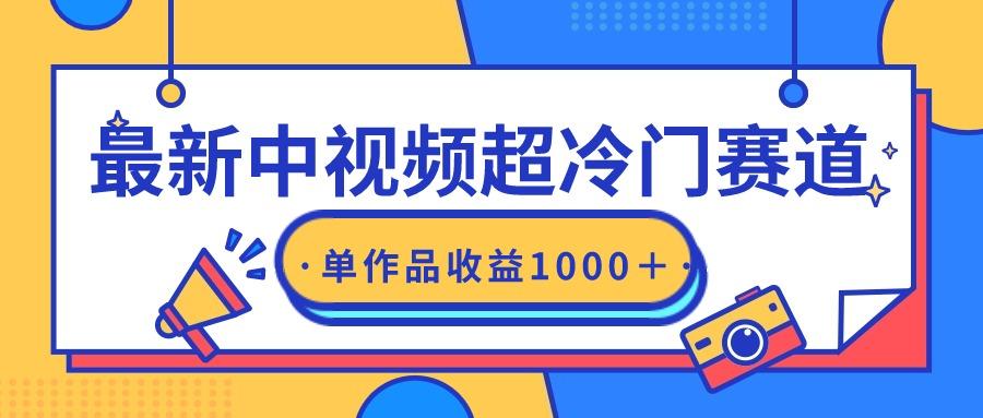 (9275期)最新中视频超冷门赛道，轻松过原创，单条视频收益1000＋-梦凌网创