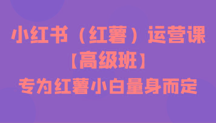 小红书(红薯)运营课【高级班】，专为红薯小白量身而定(42节课)-梦凌网创
