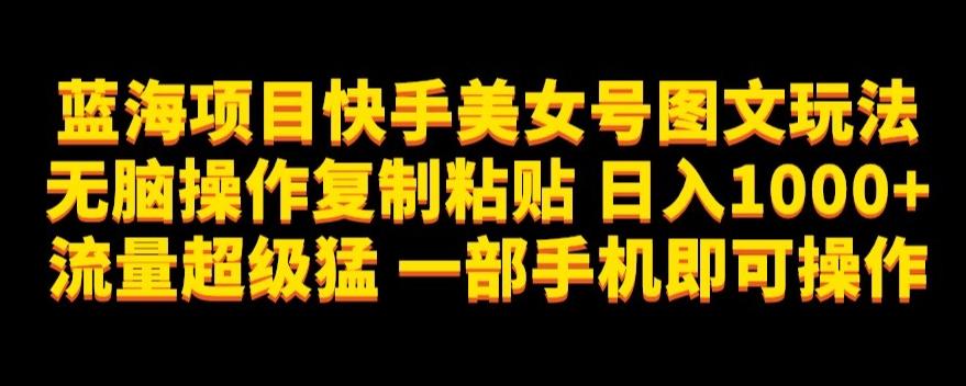 蓝海项目快手美女号图文玩法，无脑操作复制粘贴，日入1000+流量超级猛一部手机即可操作【揭秘】-梦凌网创