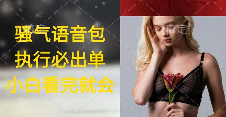 (9589期)执行就出单，日入2000+，超火骚气语音包，小白看完课程就能马上实操-梦凌网创