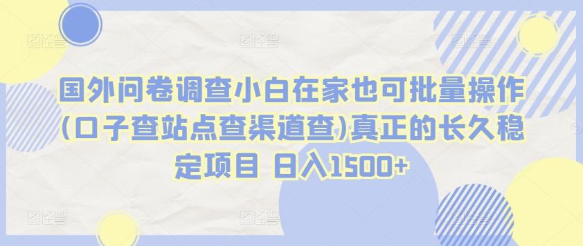 国外问卷调查小白在家也可批量操作(口子查站点查渠道查)真正的长久稳定项目 日入1500+【揭秘】-梦凌网创