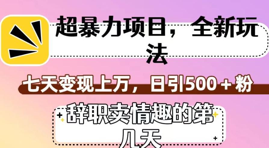 超暴利项目，全新玩法（辞职卖情趣的第几天），七天变现上万，日引500+粉【揭秘】-梦凌网创
