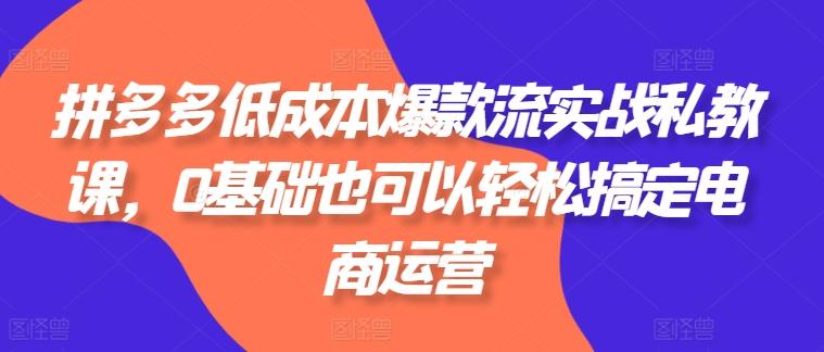 拼多多低成本爆款流实战私教课，0基础也可以轻松搞定电商运营-梦凌网创