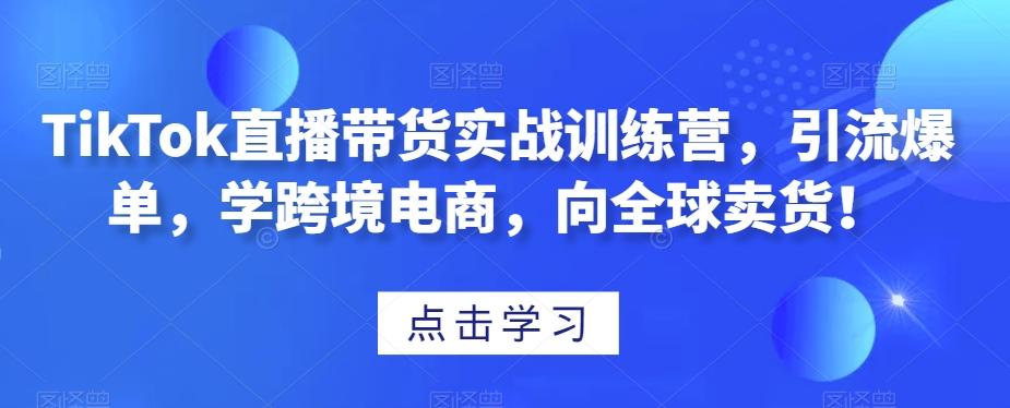 TikTok直播带货实战训练营，引流爆单，学跨境电商，向全球卖货！-梦凌网创