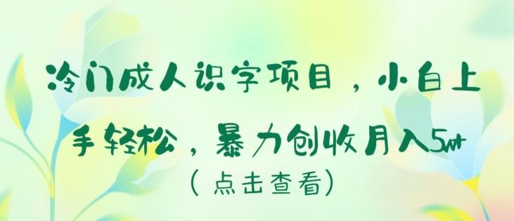 冷门成人识字项目，小白上手轻松，暴力创收月入5w+【揭秘】-梦凌网创