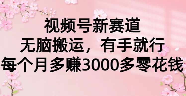 (9278期)视频号新赛道，无脑搬运，有手就行，每个月多赚3000多零花钱-梦凌网创