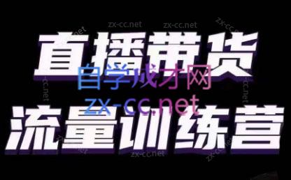 婉婉·直播带货课程系列合集(更新8月)-梦凌网创