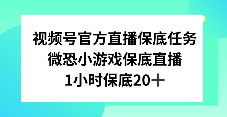 视频号直播任务，微恐小游戏，1小时20+【揭秘】-梦凌网创