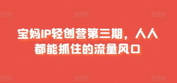 宝妈IP轻创营第三期，人人都能抓住的流量风口-梦凌网创
