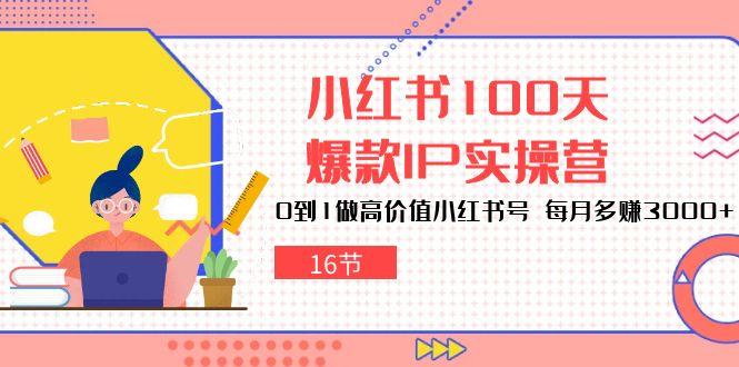 小红书100天-爆款IP实操营，0到1做高价值小红书号 每月多赚3000+(16节-梦凌网创