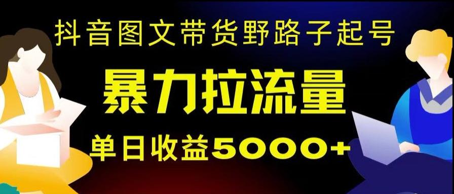 抖音图文带货暴力起号，单日收益5000+，野路子玩法，简单易上手，一部手机即可【揭秘】-梦凌网创