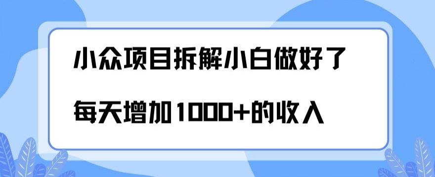 小众项目拆解，小白做好了每天可增加1000多的收入-梦凌网创