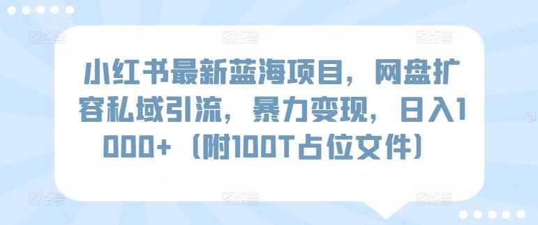 小红书最新蓝海项目，网盘扩容私域引流，暴力变现，日入1000+(附100T占位文件)【揭秘】-梦凌网创