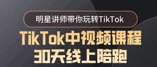 TikTok中视频课程30天线上陪跑，明星讲师带你玩转TikTok-梦凌网创