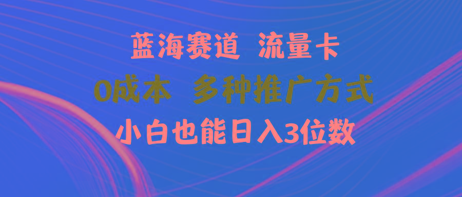 蓝海赛道 流量卡 0成本 小白也能日入三位数-梦凌网创