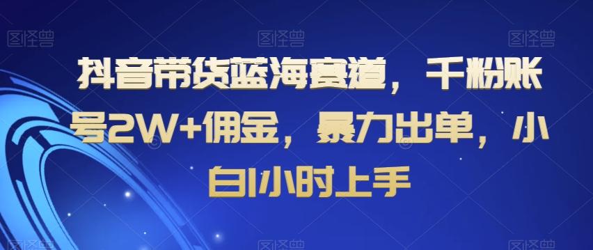 抖音带货蓝海赛道，千粉账号2W+佣金，暴力出单，小白1小时上手【揭秘】-薪火元第一资源库