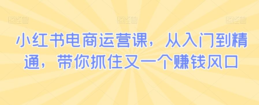 小红书电商运营课，从入门到精通，带你抓住又一个赚钱风口-梦凌网创