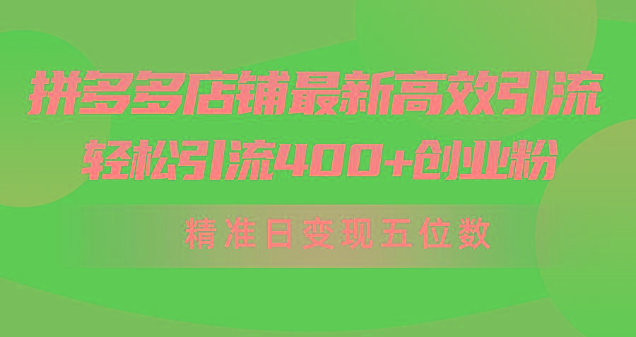 (10041期)拼多多店铺最新高效引流术，轻松引流400+创业粉，精准日变现五位数！-梦凌网创