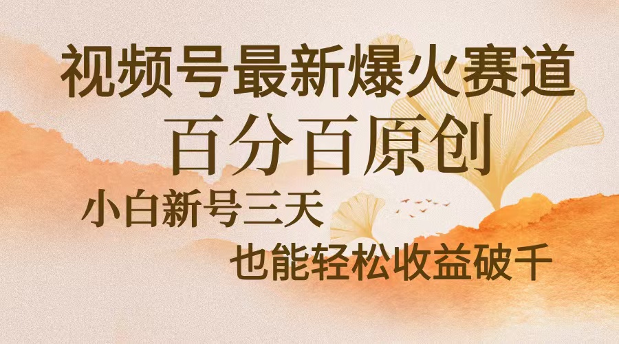 视频号最新爆火赛道，中老年粉深信不疑，百分百原创，新号三天收益轻松…-梦凌网创