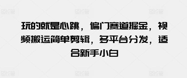玩的就是心跳，偏门赛道掘金，视频搬运简单剪辑，多平台分发，适合新手小白【揭秘】-梦凌网创