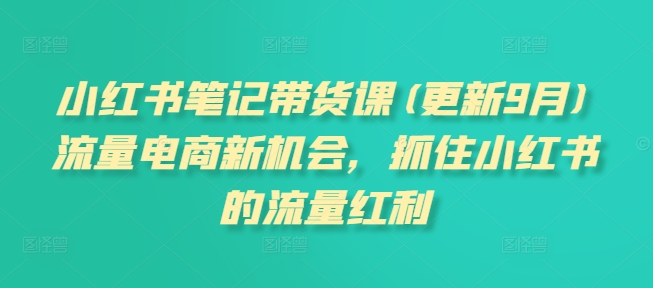 小红书笔记带货课(更新9月)流量电商新机会，抓住小红书的流量红利-梦凌网创