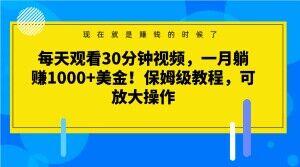 每天观看30分钟视频，一月躺赚1000+美金！保姆级教程，可放大操作【揭秘】-薪火元第一资源库