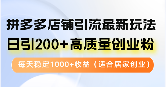 拼多多店铺引流最新玩法，日引200+高质量创业粉，每天稳定1000+收益(…-梦凌网创