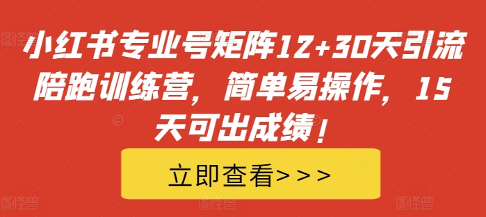 小红书专业号矩阵12+30天引流陪跑训练营，简单易操作，15天可出成绩!-梦凌网创