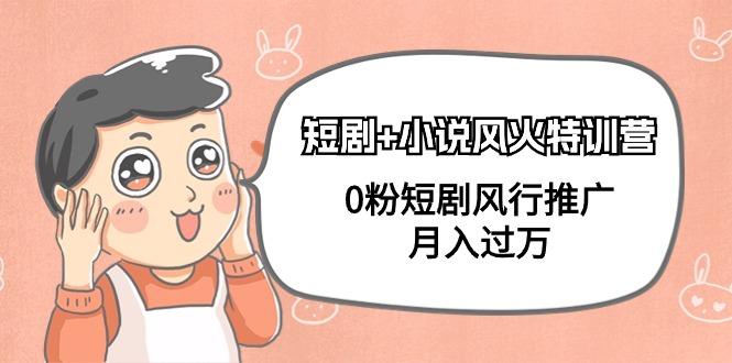 (9374期)短剧+小说风火特训营，0粉短剧风行推广，月入过万(102节课)-梦凌网创