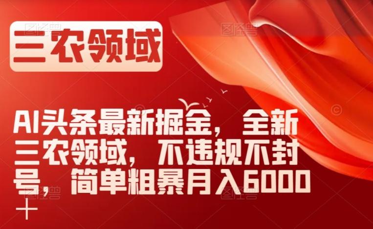 AI头条最新掘金，全新三农领域，不违规不封号，简单粗暴月入6000＋【揭秘】-梦凌网创