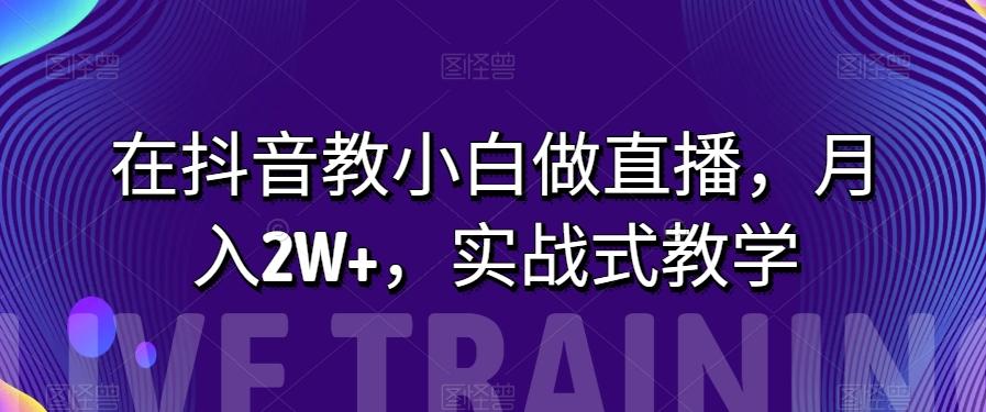 在抖音教小白做直播，月入2W+，实战式教学【揭秘】-梦凌网创