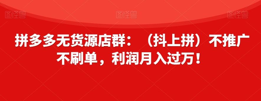 拼多多无货源店群：（抖上拼）不推广不刷单，利润月入过万！【揭秘】-梦凌网创