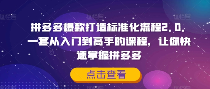 拼多多爆款打造标准化流程2.0，一套从入门到高手的课程，让你快速掌握拼多多-梦凌网创