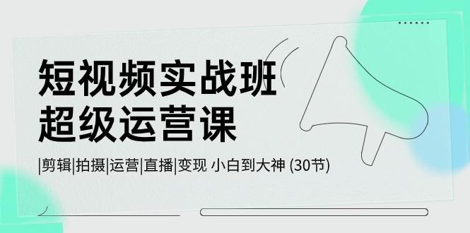 短视频实战班超级运营课 |剪辑|拍摄|运营|直播|变现 小白到大神 (30节)-梦凌网创