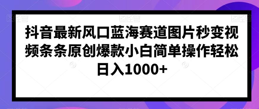 抖音最新风口蓝海赛道图片秒变视频条条原创爆款小白简单操作轻松日入1000+-梦凌网创