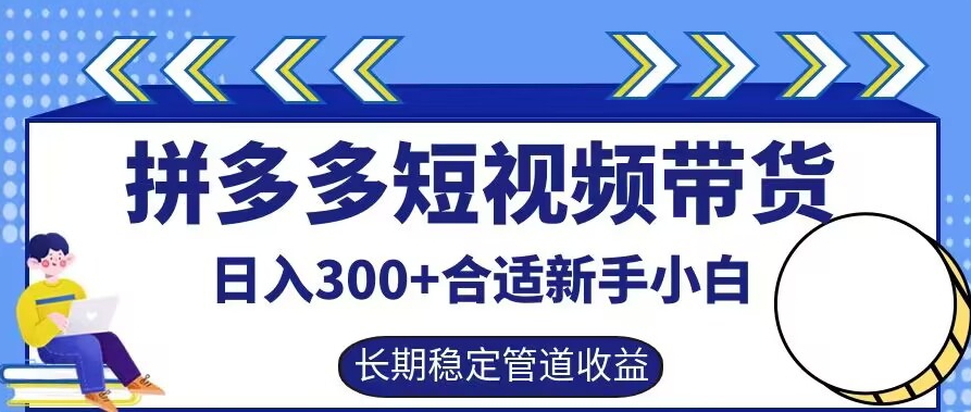 拼多多短视频带货日入300+有长期稳定被动收益，合适新手小白【揭秘】-梦凌网创