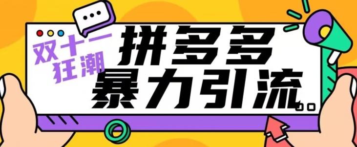 【首发】双十一拼多多暴力引流，日引300+微信-梦凌网创