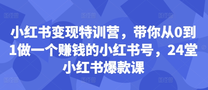 小红书变现特训营，带你从0到1做一个赚钱的小红书号，24堂小红书爆款课-梦凌网创
