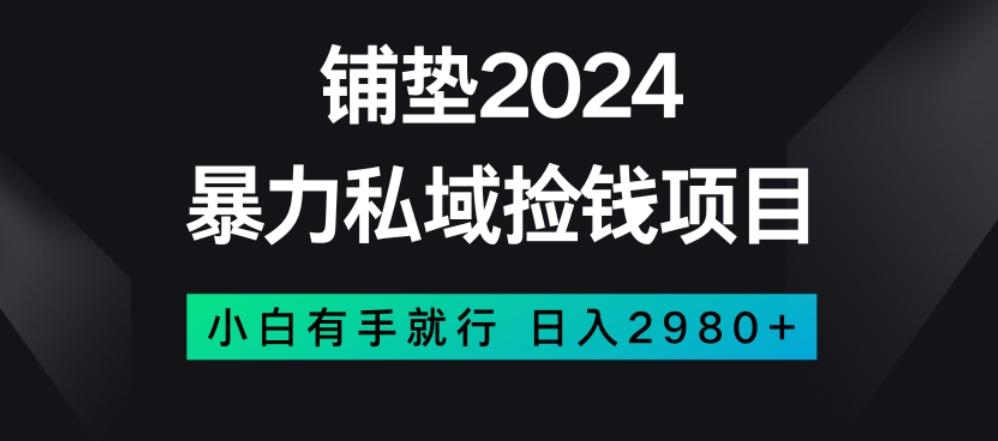 暴力私域捡钱项目，小白无脑操作，日入2980【揭秘】-薪火元第一资源库