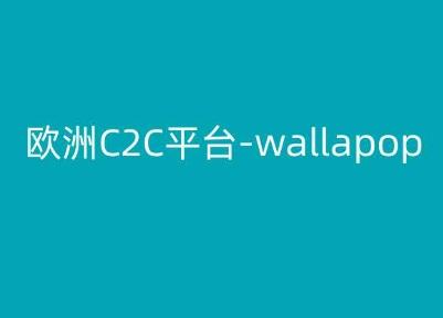 欧洲C2C平台-wallapop-kim跨境电商教程-薪火元第一资源库