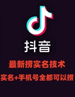 最新技术抖音捞实名+捞手机号技术，抖音直播封禁释放十名/手机号，直接替换出来!-梦凌网创